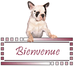 Gif animé bienvenue chien